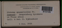 Image Associated With the Occurence